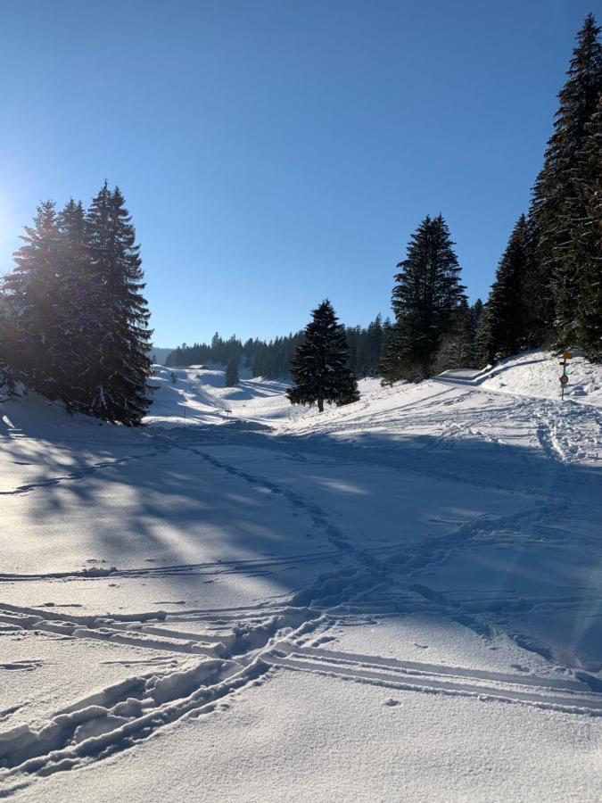 Chalet Ott - Apartment In The Mountains With Sauna Saint-Cergue Luaran gambar