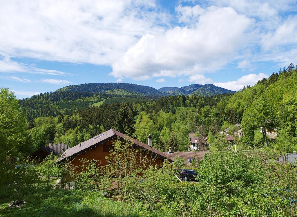 Chalet Ott - Apartment In The Mountains With Sauna Saint-Cergue Bilik gambar